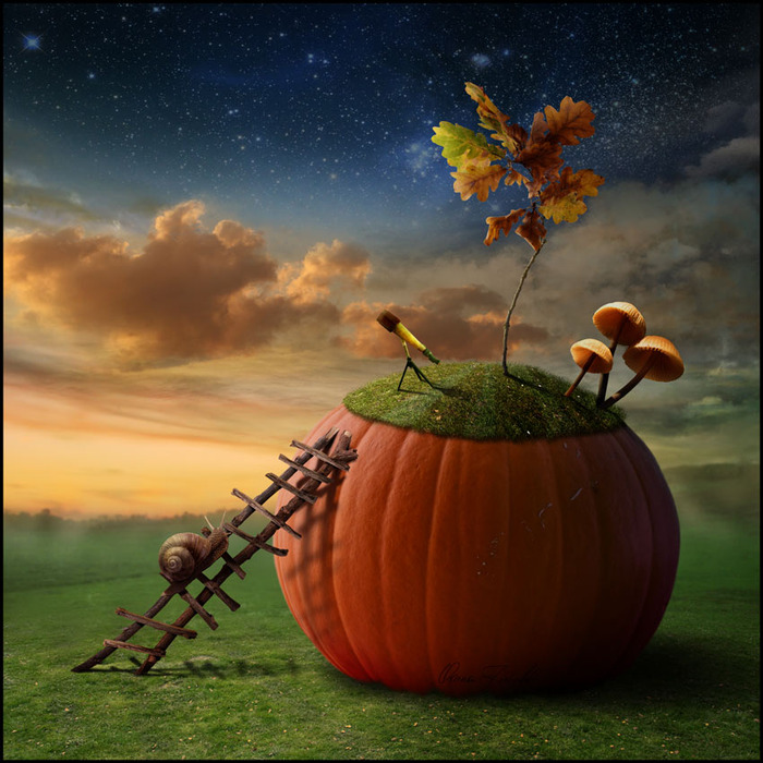 3975593_large (700x700, 154Kb)