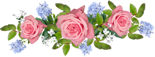 flowers-5019190__480 (314x116, 74Kb)